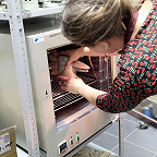 Сушильный шкаф