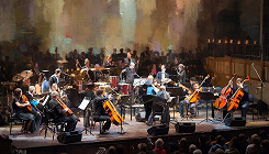 CONCORDIA, PIANISSIMO И ИМЕНИ ГОРКОВЕНКО