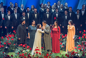 Маки вместо роз