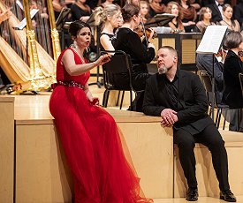 И снова «Петушок»